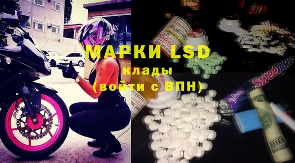 spice Абинск